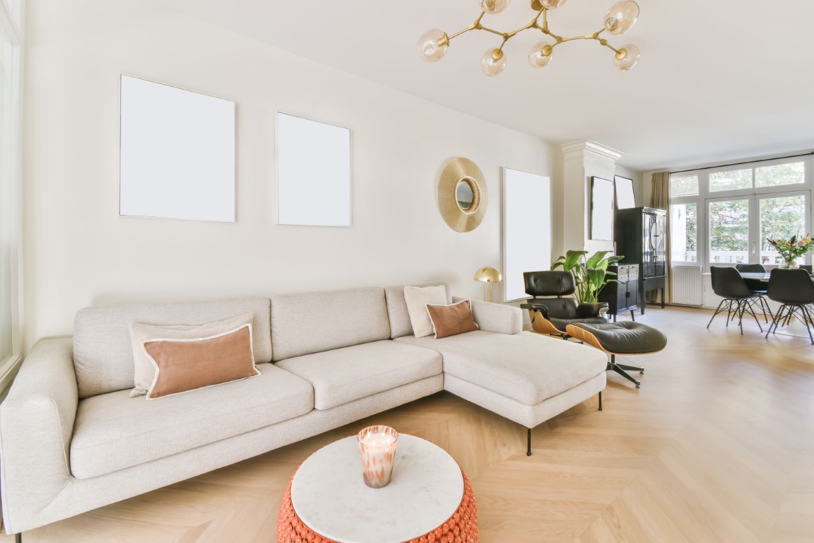 Mind blowing living room with gray sofa